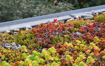 the cost of Haynes Church End green roof installation