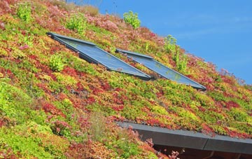Haynes Church End living roof systems