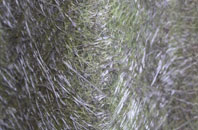 Haynes Church End fibreglass roof work